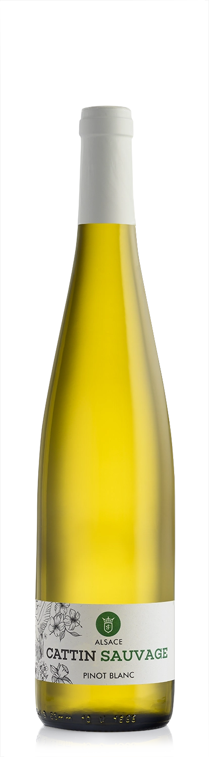 Pinot Blanc Sauvage BIO