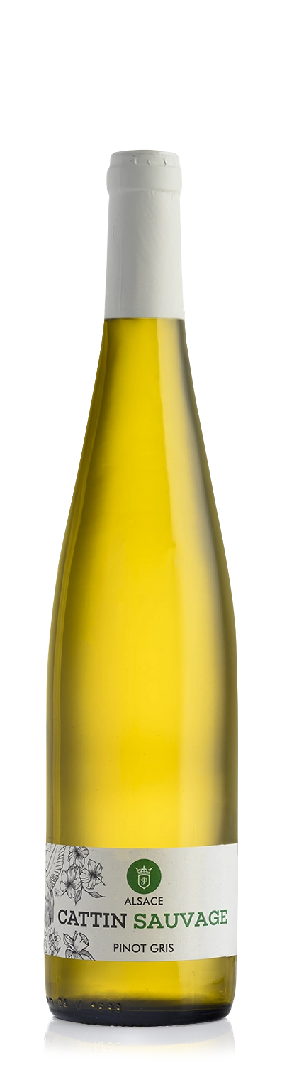 Pinot Gris Sauvage BIO