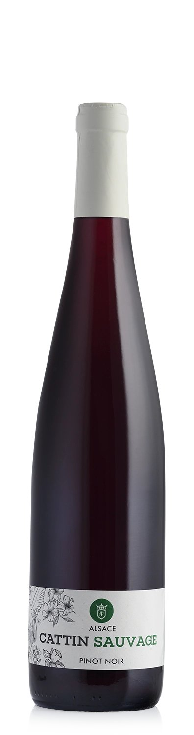 Pinot Noir Sauvage BIO